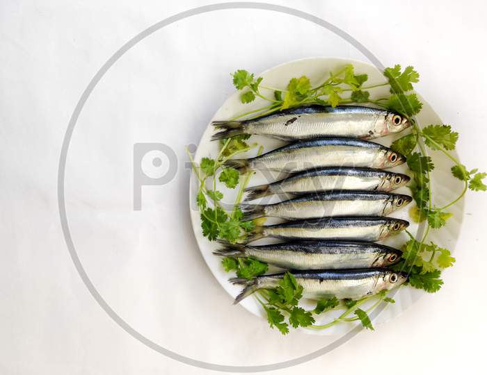 Closeup View Of Slender Rainbow Sardines Decorated With Curry Leaves On A White Plate. Space For Text.