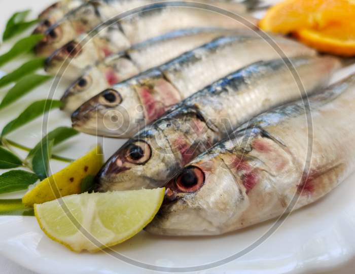 Close Up View Of Fresh Indian Oil Sardine ,Decorated With Herbs And Vegetables.White Background.