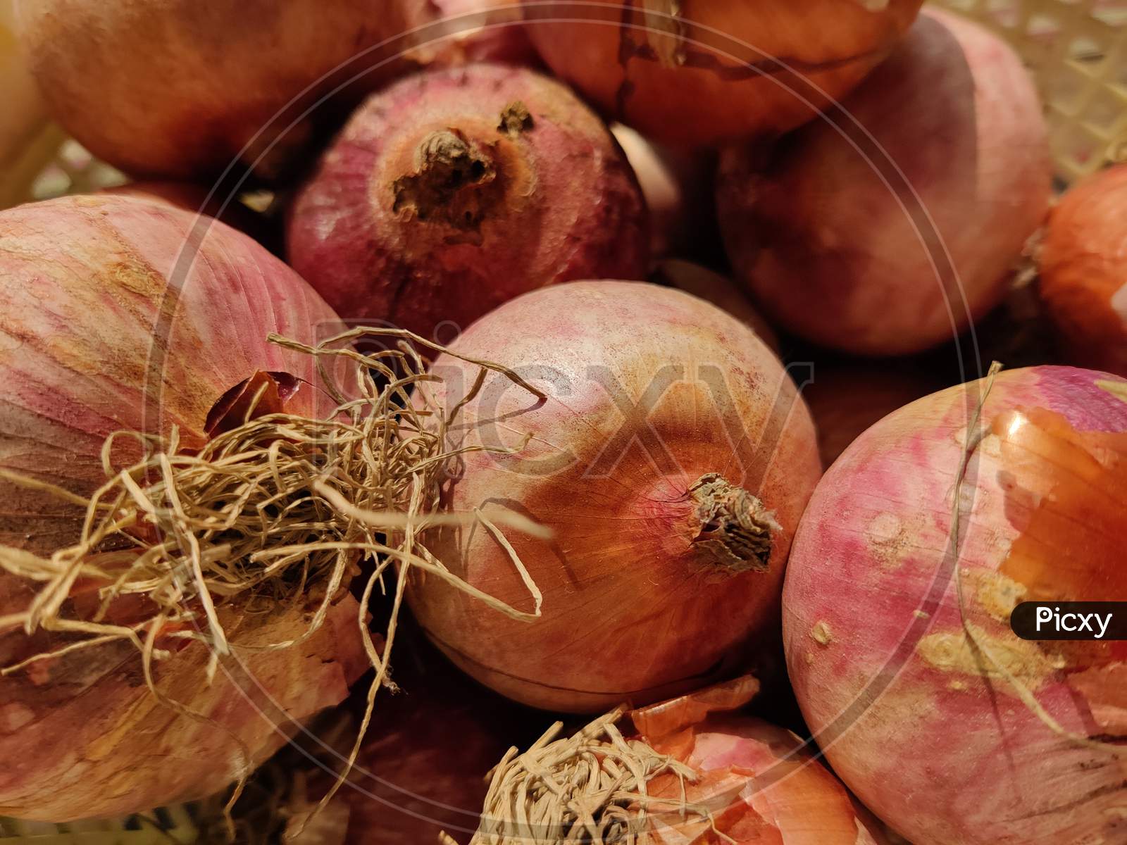Onion in the basket