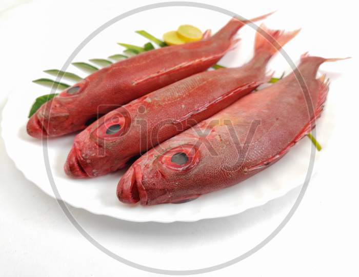 Fresh Finned Bulls Eye Fish (Priacanthus Hamrur)/ Moontail Bullseye Fish,Decorated With Lemon Slice And Curry Leaves ,White Background.