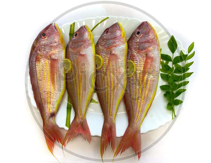 Fresh Pink Perch Fish Decorated With Curry Leaves On A White Plate,White Background.