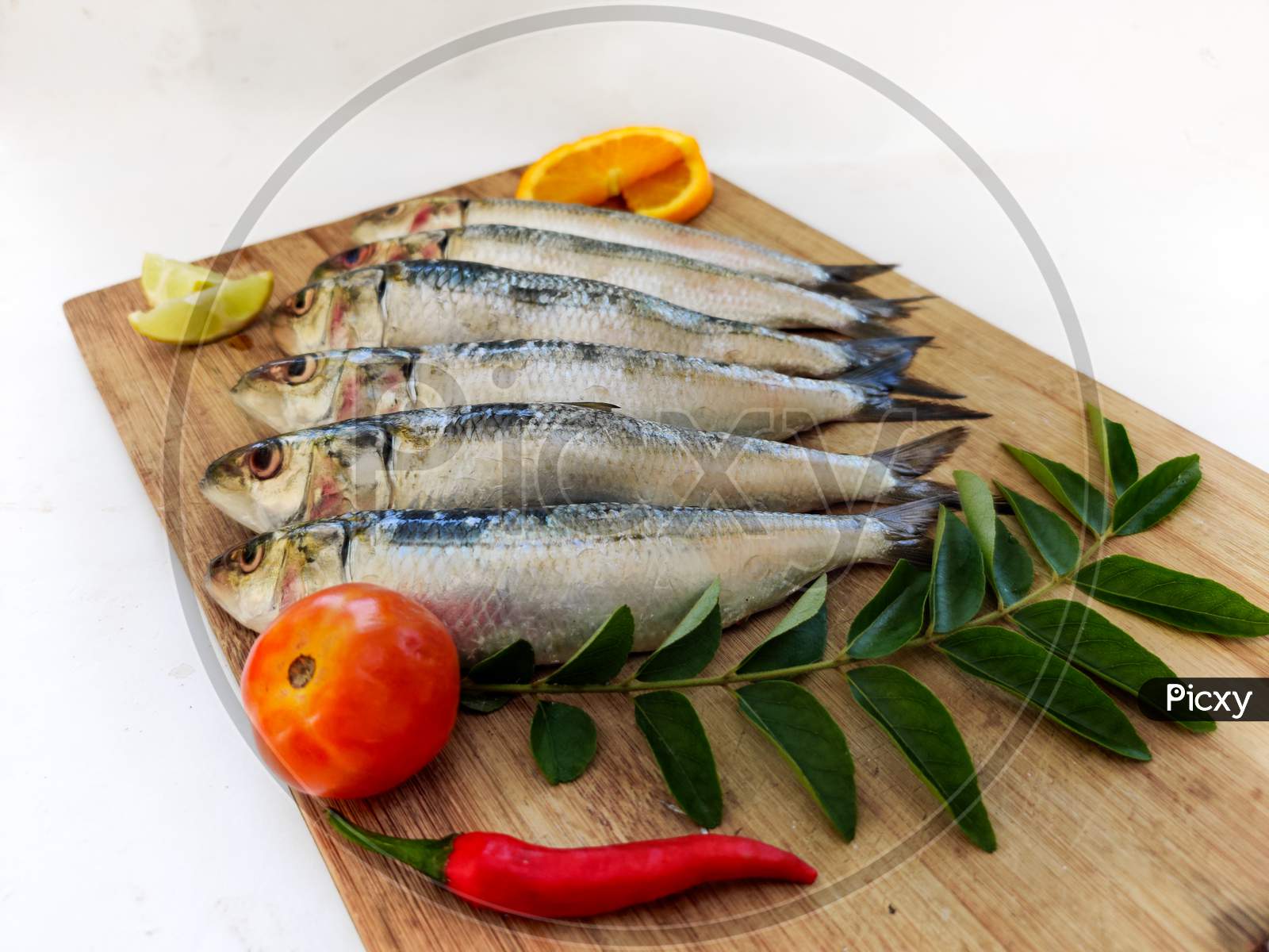 Close Up View Of Fresh Indian Oil Sardine On A Wooden Pad,Decorated With Herbs And Vegetables.White Background.