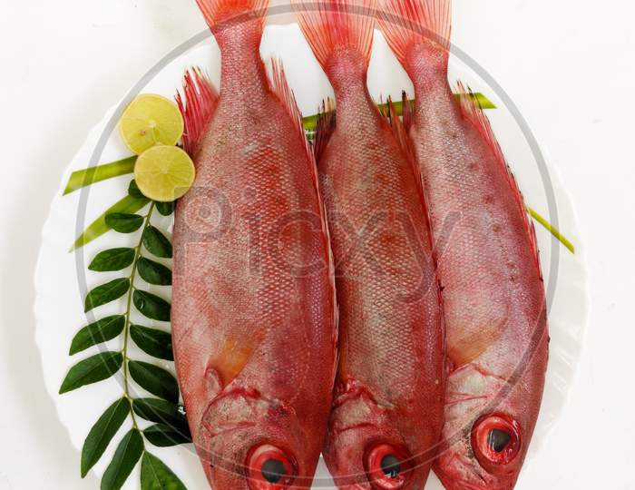 Top View Of Fresh Finned Bulls Eye Fish (Priacanthus Hamrur)/ Moontail Bullseye Fish,Decorated With Lemon Slice And Curry Leaves ,White Background.