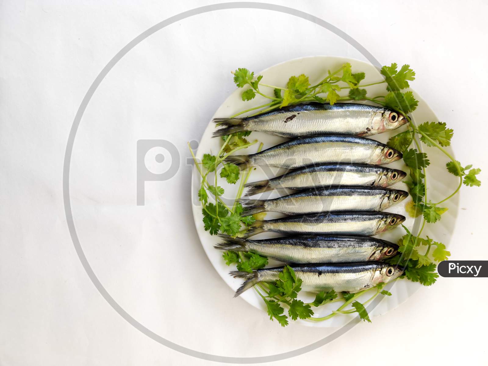 Closeup View Of Slender Rainbow Sardines Decorated With Curry Leaves On A White Plate. Space For Text.