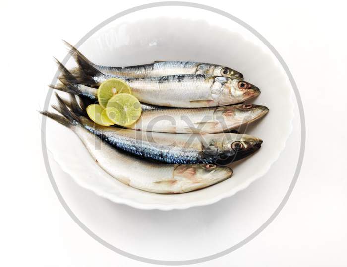 Close Up View Of Fresh Indian Oil Sardine On A White Pot,Decorated With Herbs And Vegetables.White Background.