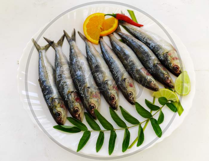 Close Up View Of Fresh Indian Oil Sardine On A White Plate,Decorated With Herbs And Vegetables.White Background.
