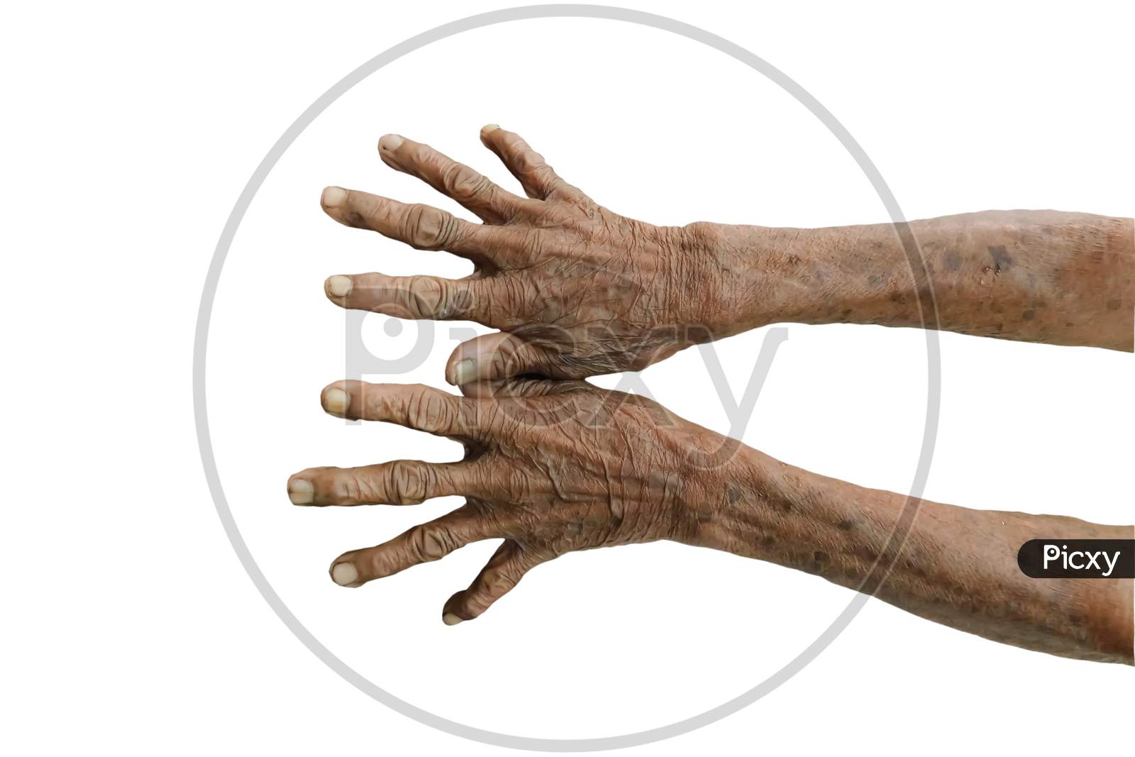 Closeup Of An Old Women Hands On White Background