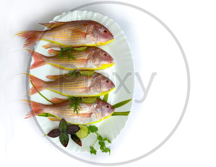 Fresh Pink Perch Fish Decorated With Curry Leaves On A White Plate,White Background.