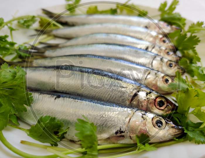 Closeup View Of Slender Rainbow Sardines Decorated With Curry Leaves On A White Plate.