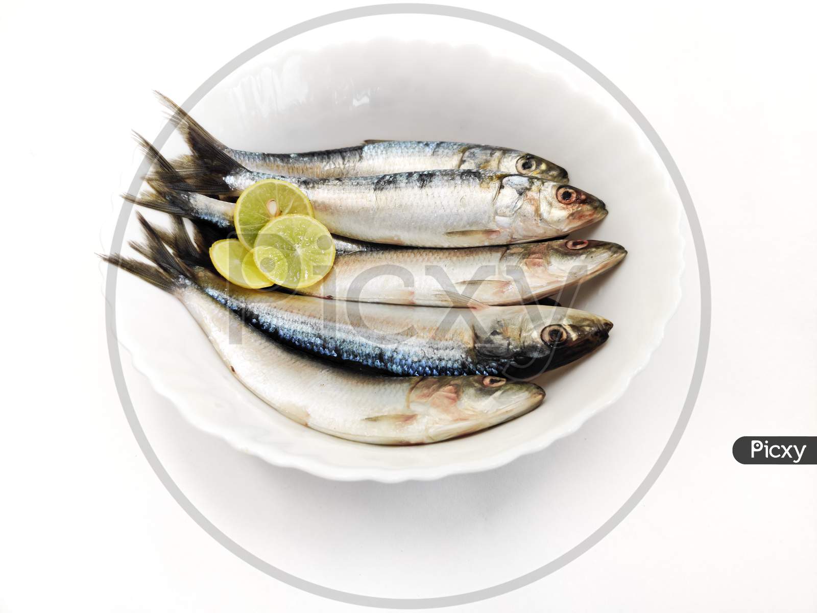 Close Up View Of Fresh Indian Oil Sardine On A White Pot,Decorated With Herbs And Vegetables.White Background.