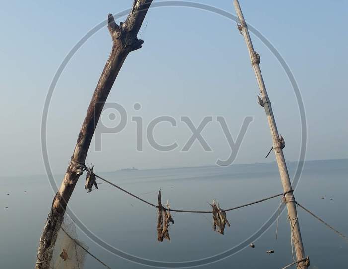 photo of Dry Fish at SRSP Dam, Sea Food , India