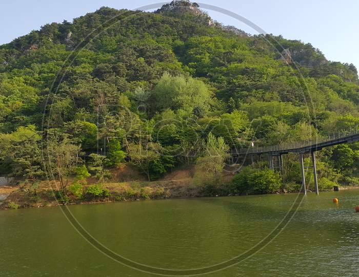 View Of Beautiful Scene Of River Water And Green Trees On Large Hills