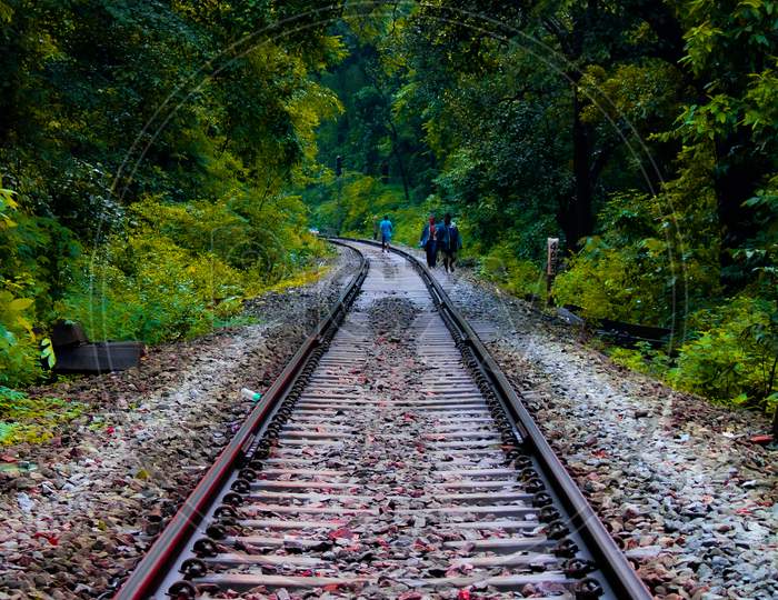 Beautiful railway line in the forest