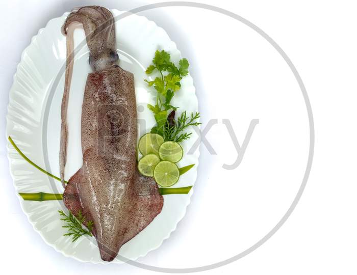 Fresh Raw Loligo Squid(Loligo Duvauceli) Decorated With Lemon Slice And Curry Leaves.White Background.,Space For Text.