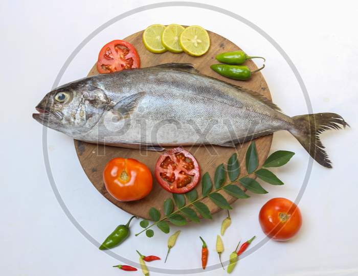 Fresh Butter Fish/Amberjack Fish/Allied Kingfish (Seriola Dumerilli) Decorated With Herbs And Vegetables, White Background.Selective Focus.