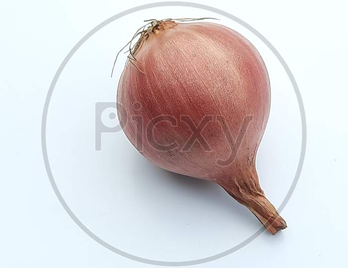 One Onion image ,