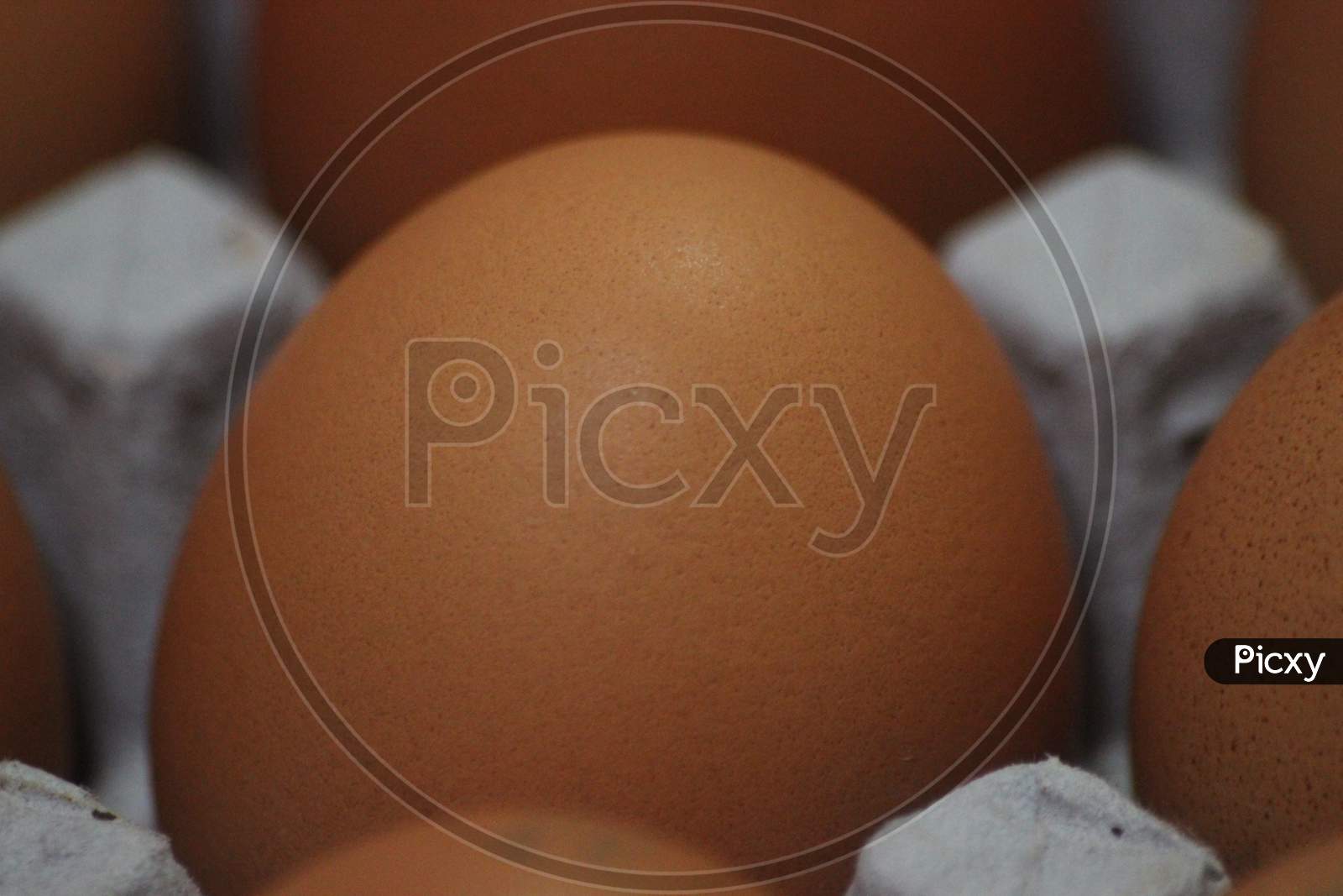 Closeup View With Selective Focus On Fresh Farm Chicken Eggs In An Egg-Carton