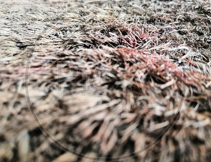 Dried grass with depth of textures