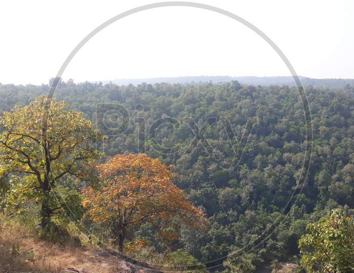 View point of Forest at kuntala Waterfalls, Adillabad Forest