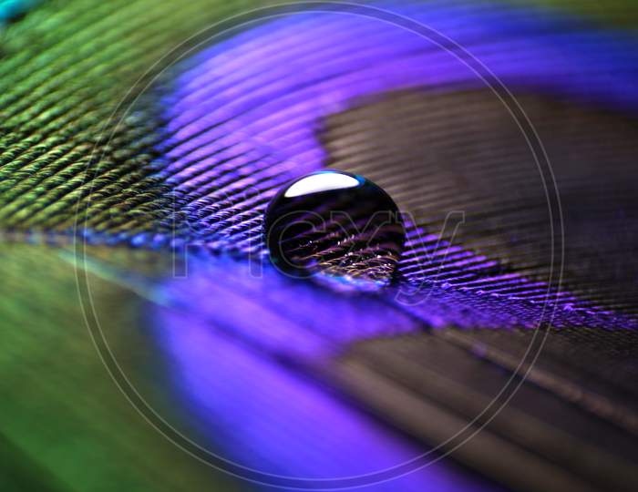 Peacock feathers droplet