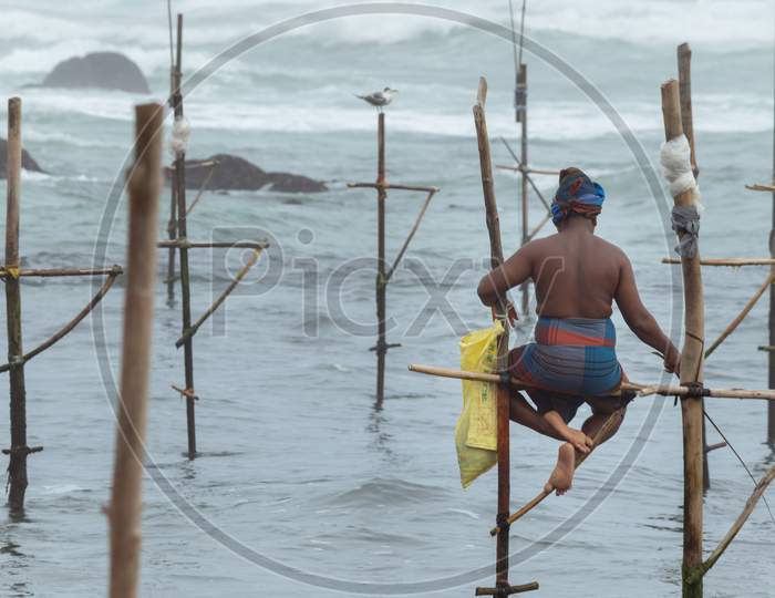 Stilt Fisherman With His Wooden Rod Facing Back To The Camera Without A Top, Fishing In A Traditional Unique Method In Sri Lankan Culture, Sunny Bright Evening On The Beach.