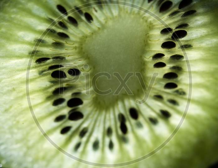 Kiwi Fruit Closeup