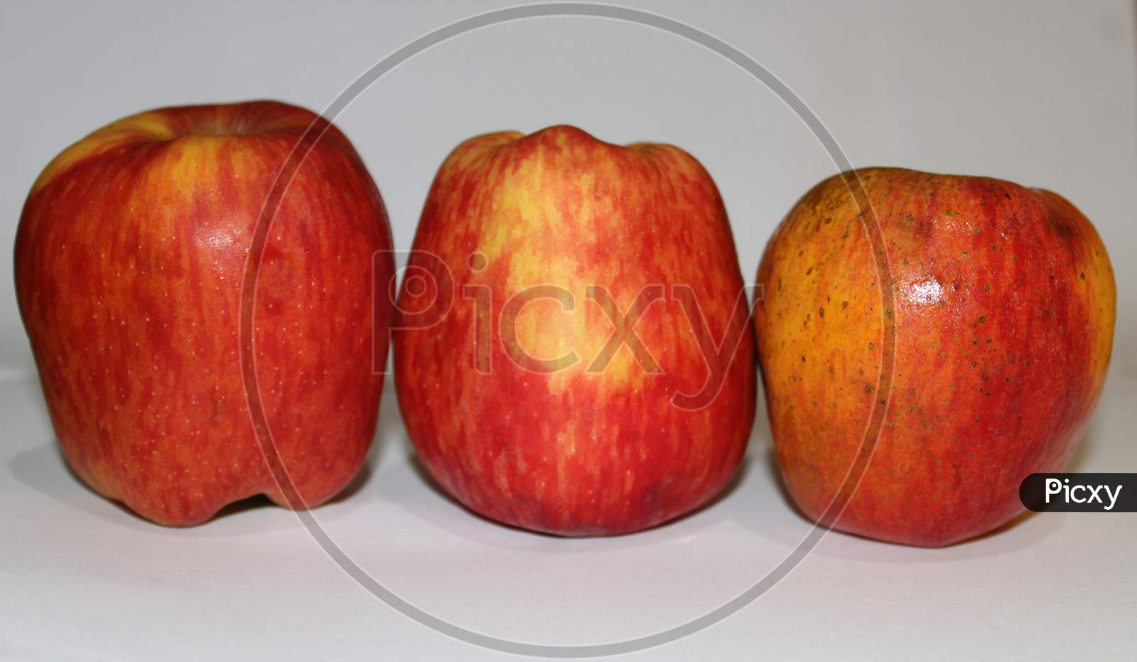 Malus Domestica, Three Honeycrisp Apple With White Background.