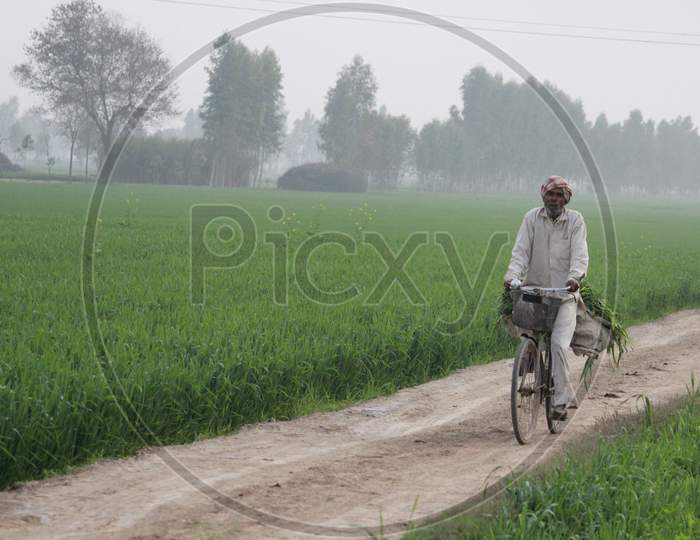 farmer on cycle in fields