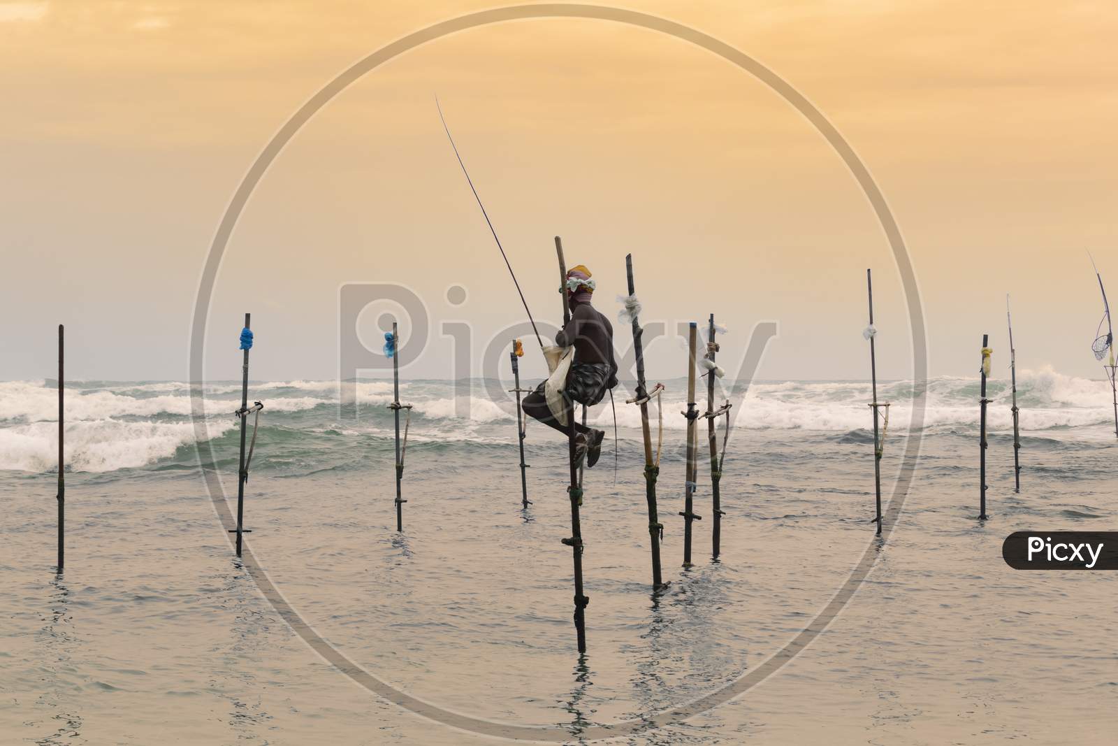 Stilt Fisherman Sitting In His Pole With A Wooden Fishing Rod In His Hands In The Sunset Evening. Ocean Waves Crash Behind Him In The Background.