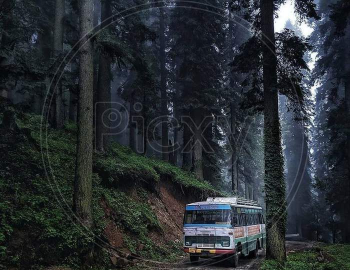 Tracking Himachal Pradesh bus