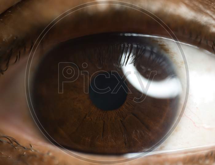 Human Eye Closeup Shot
