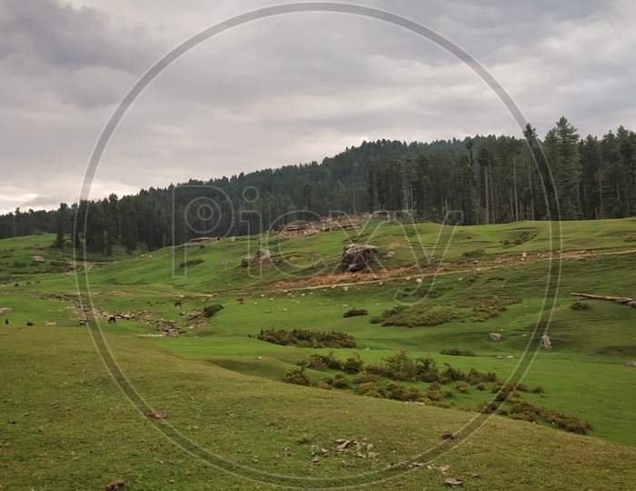 Brenwar Meadows - Srinagar