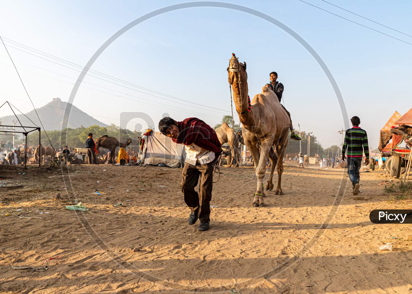 A Man And A Camel At Pushkar Came Festival.