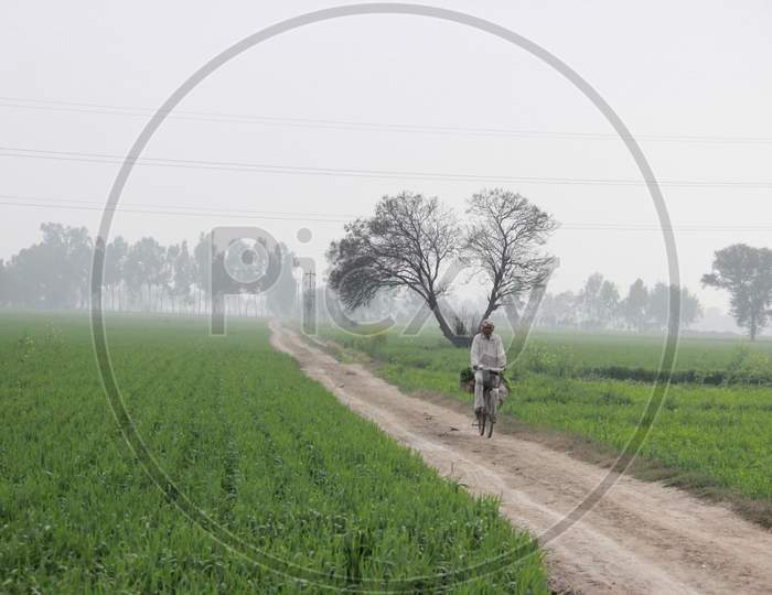 farmer on cycle in fields