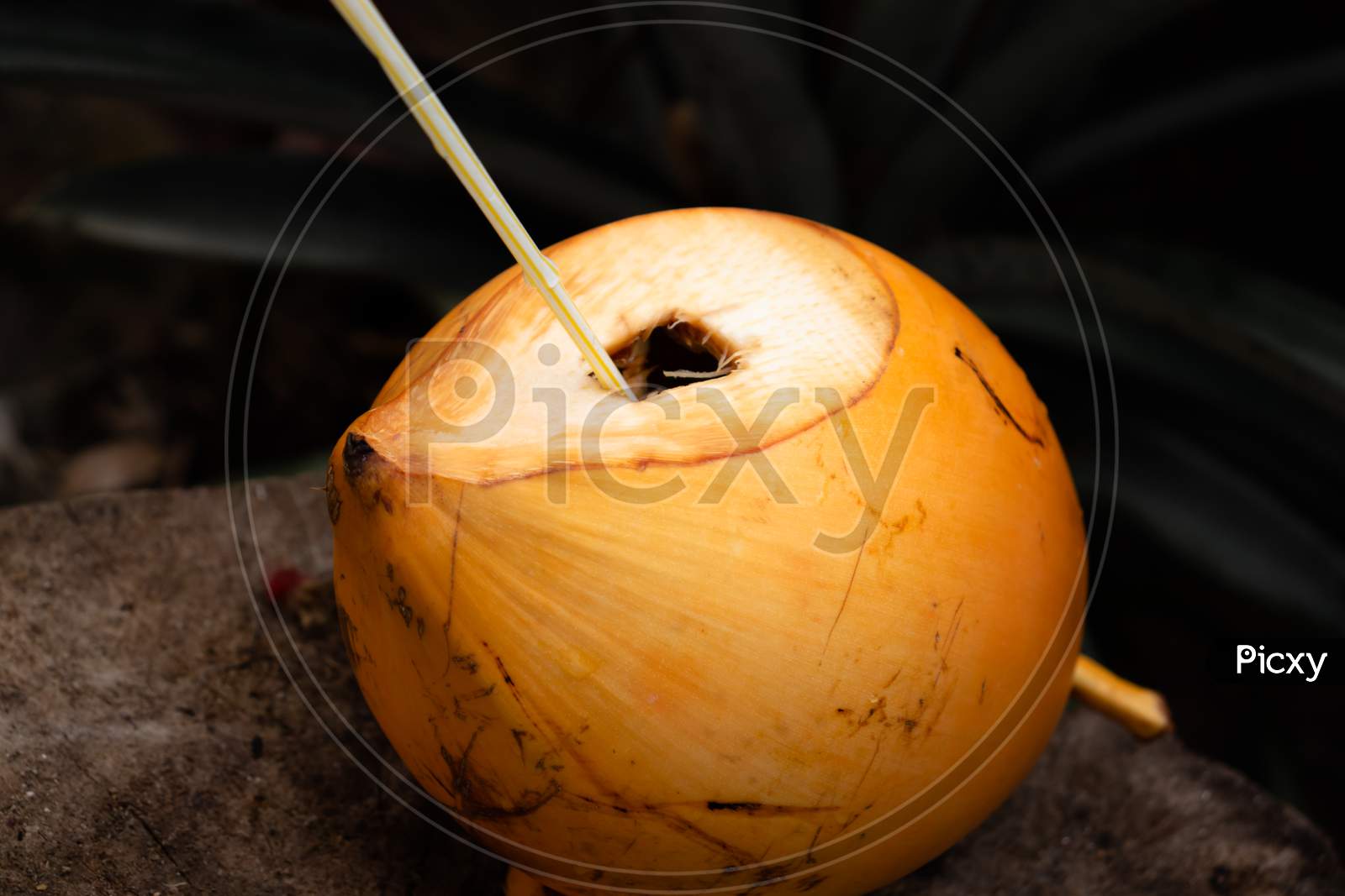 King Coconut With A Straw Inside