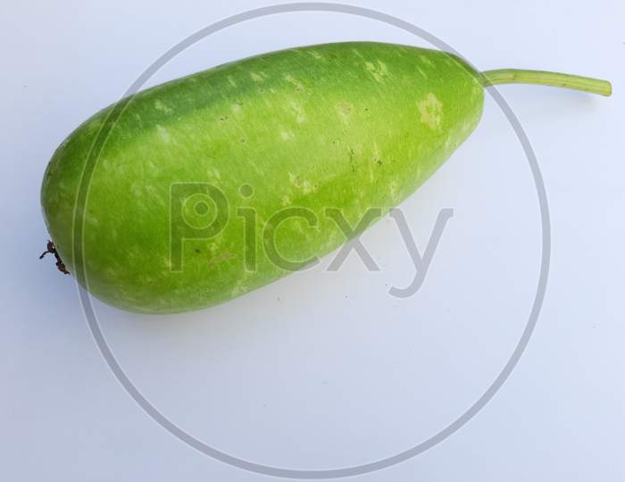 Legenaria Siceraria image,green Legenaria siceraria image, Selective Focus on Subject, Background Blur