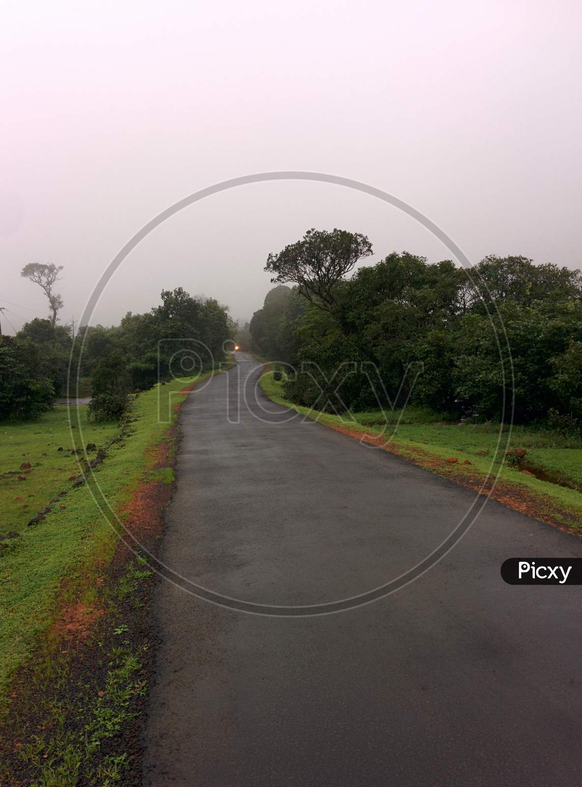 A Silent Road in Amboli Forest