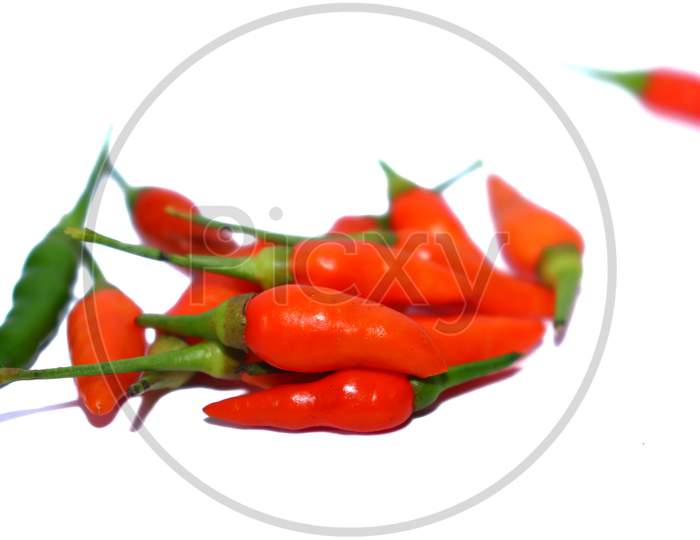 Hot red chili with White Paper