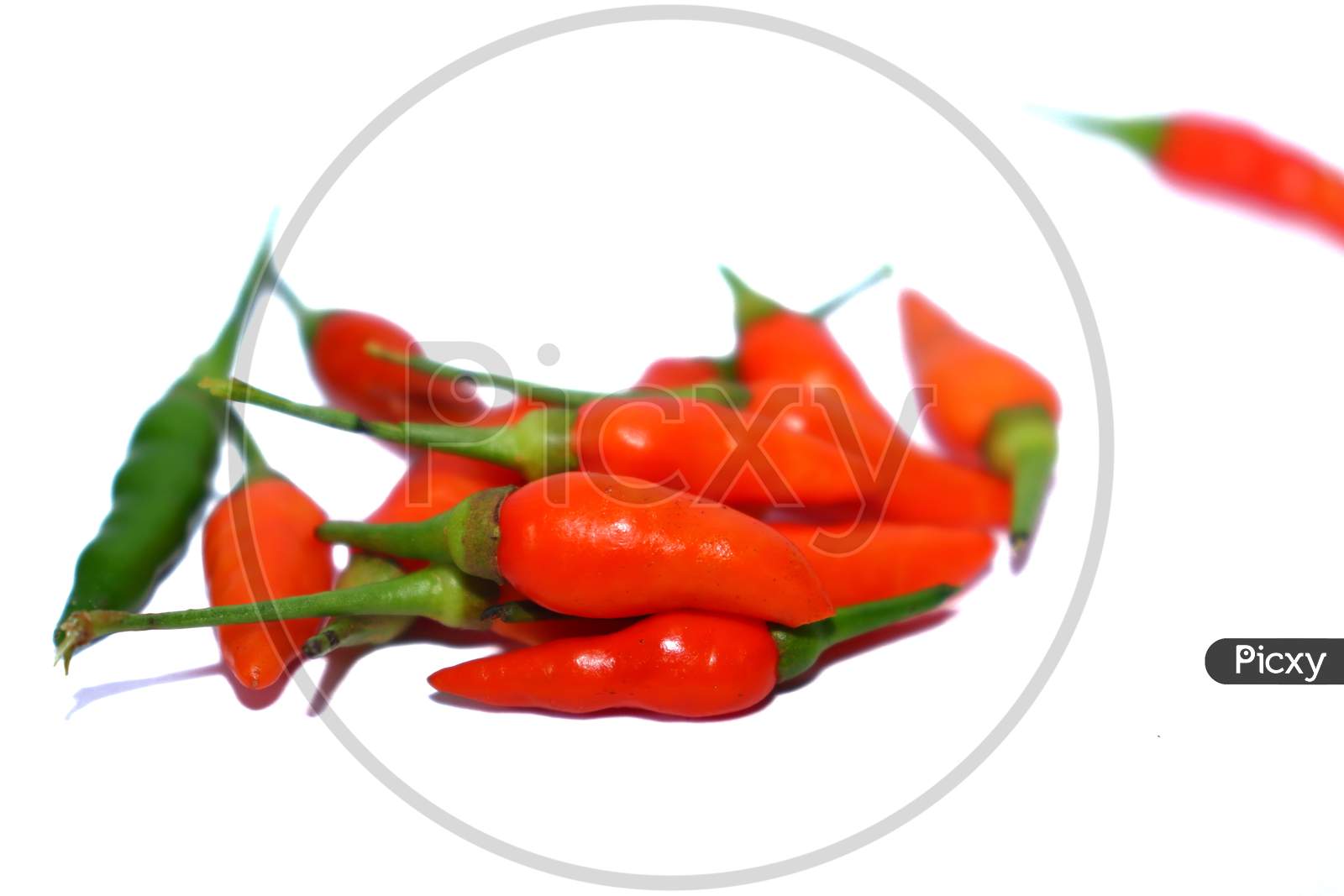 Hot red chili with White Paper