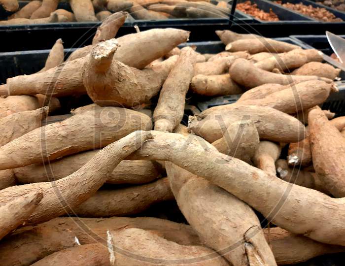 Cassava, also called manioc, yuca, balinghoy, mogo, mandioca, kamoteng kahoy, tapioca and manioc root, a woody shrub of the Euphorbiaceae family also known as tapioca