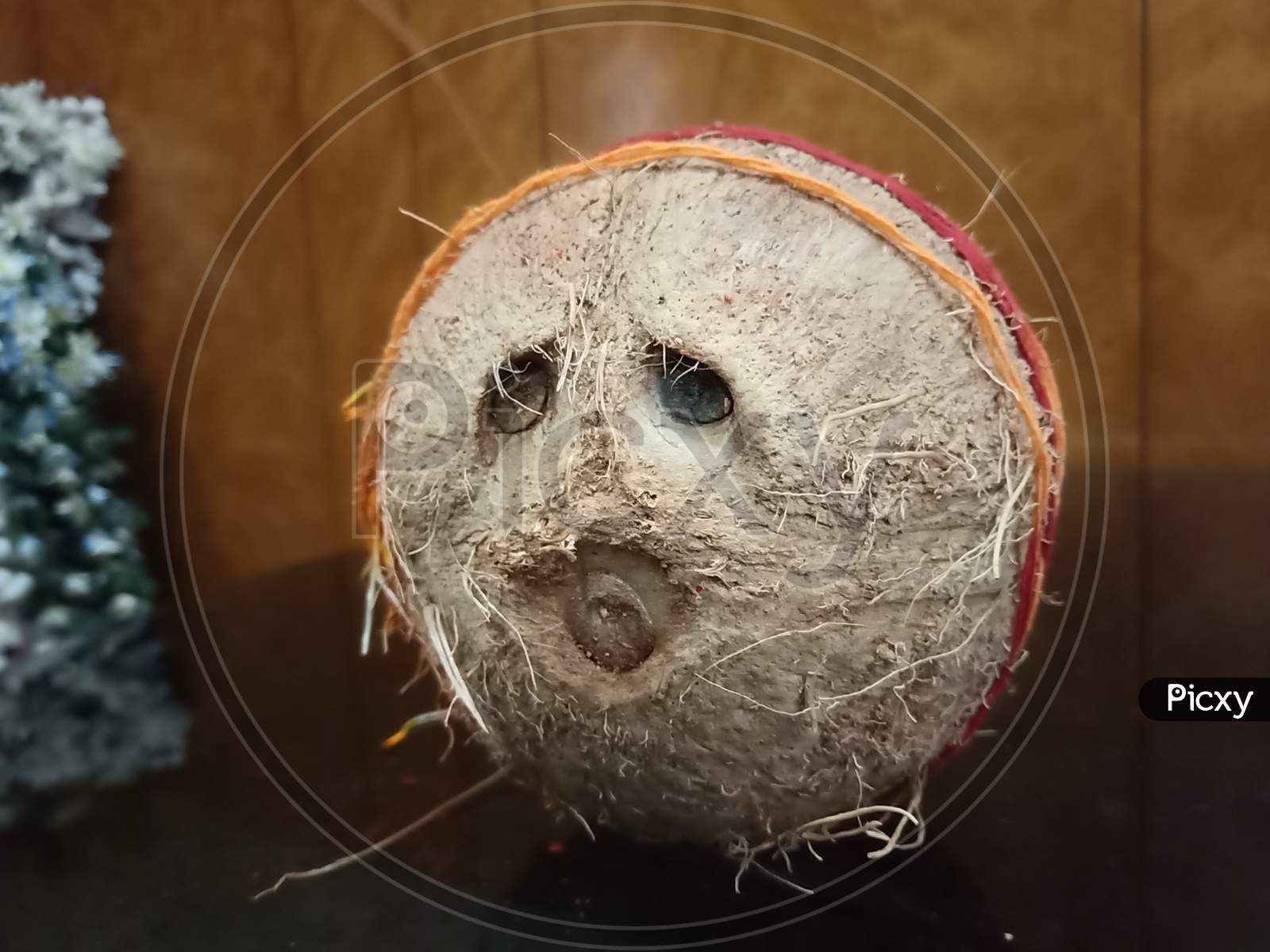 Coconut with Eyes and Mouth