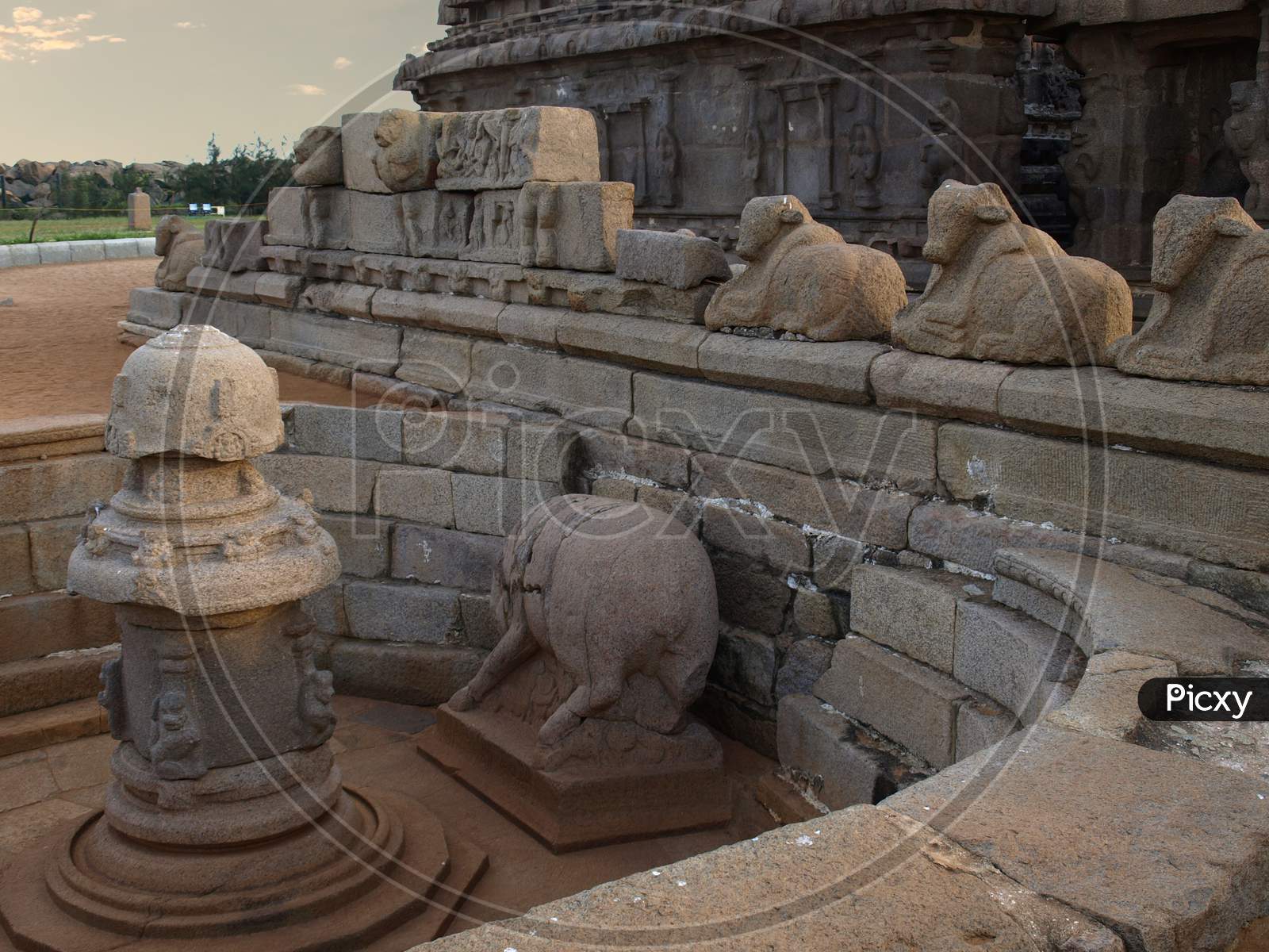 Bulls Carved In Stone With Intricate Stone Work At Mamallapuram, Tn, India