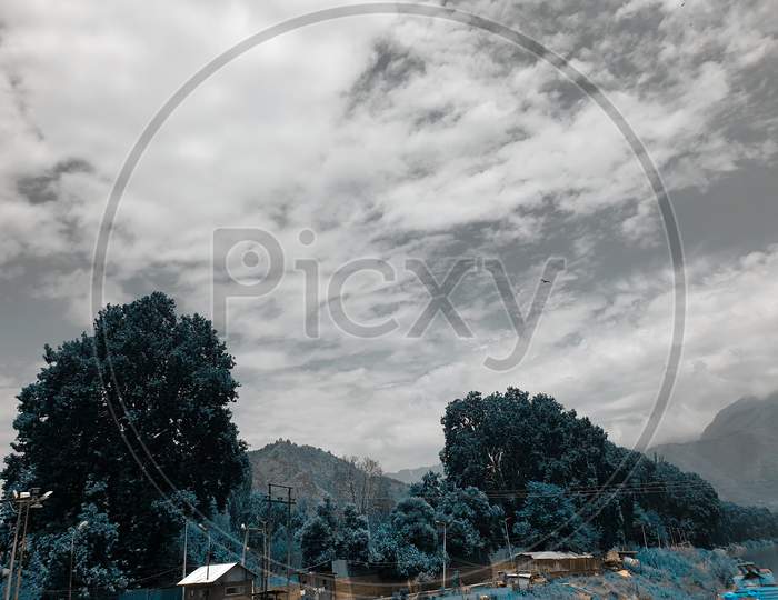 Sky Wood Art In Kashmir On Rivers.