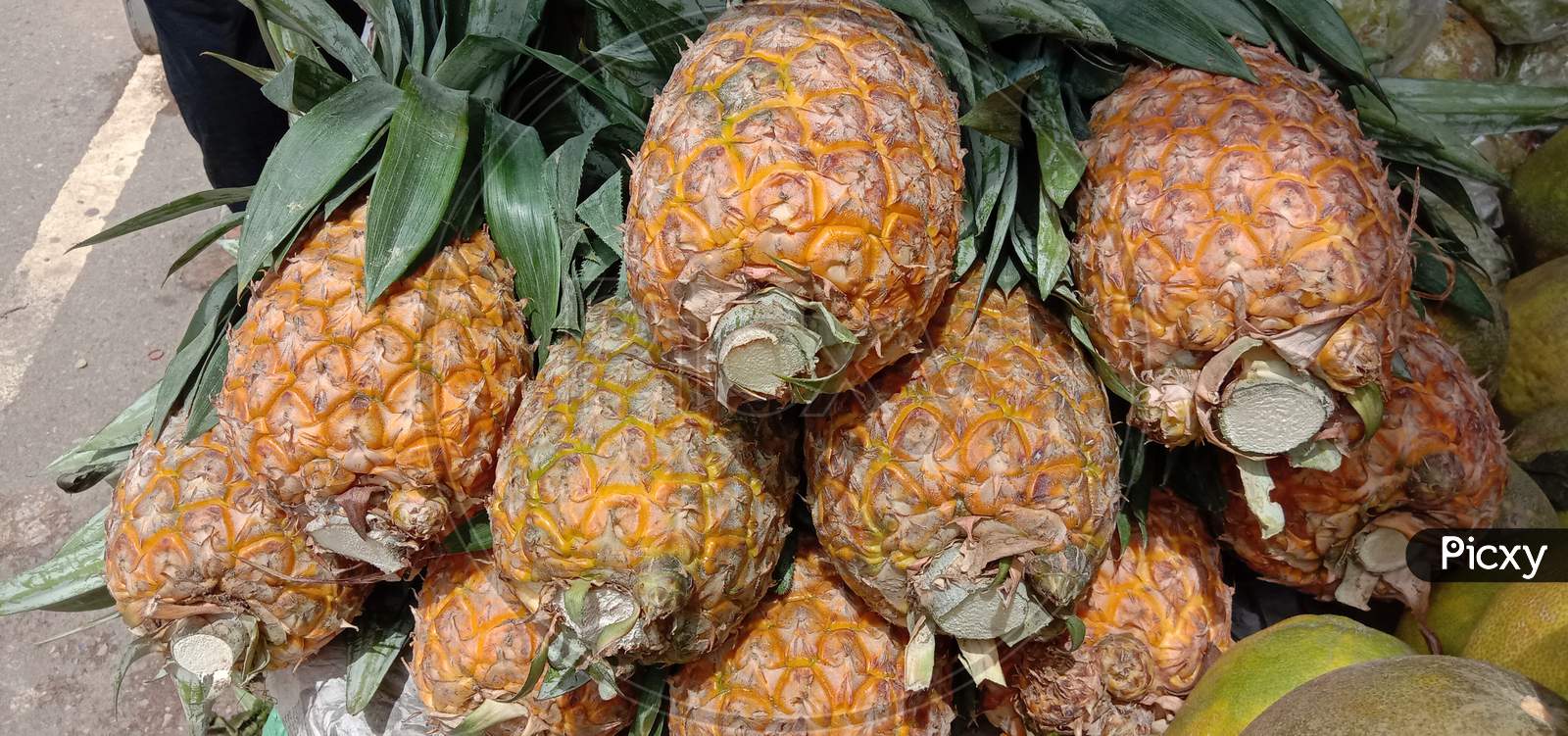 Tasty And Healthy Orange Colored Pineapple Stock