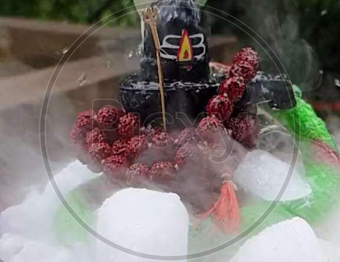Shiva Lord