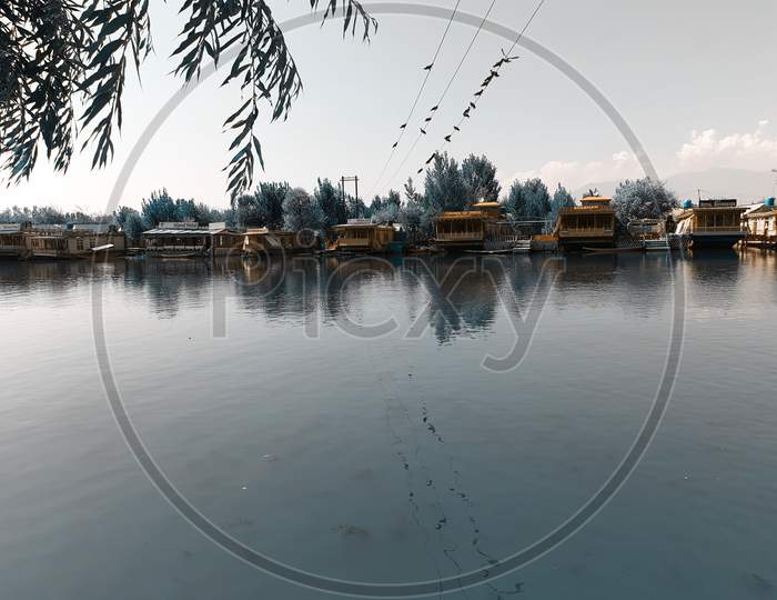 Dal Lake In Srinagar Kashmir With Shikara In Water.