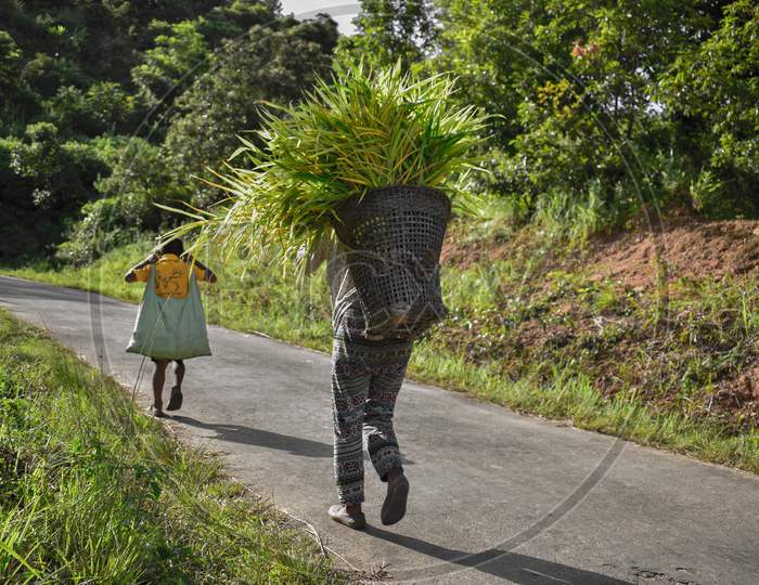 A Child Going to School in Hilly Region