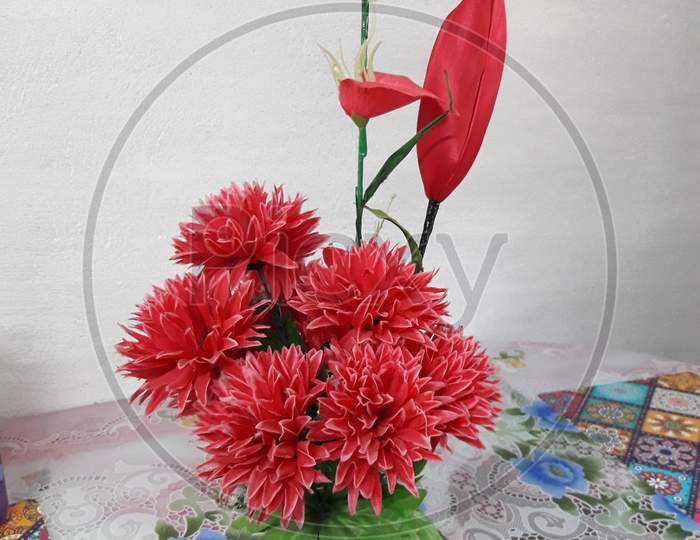 Red flower image in Home, Red flower image, Selective Focus, Background