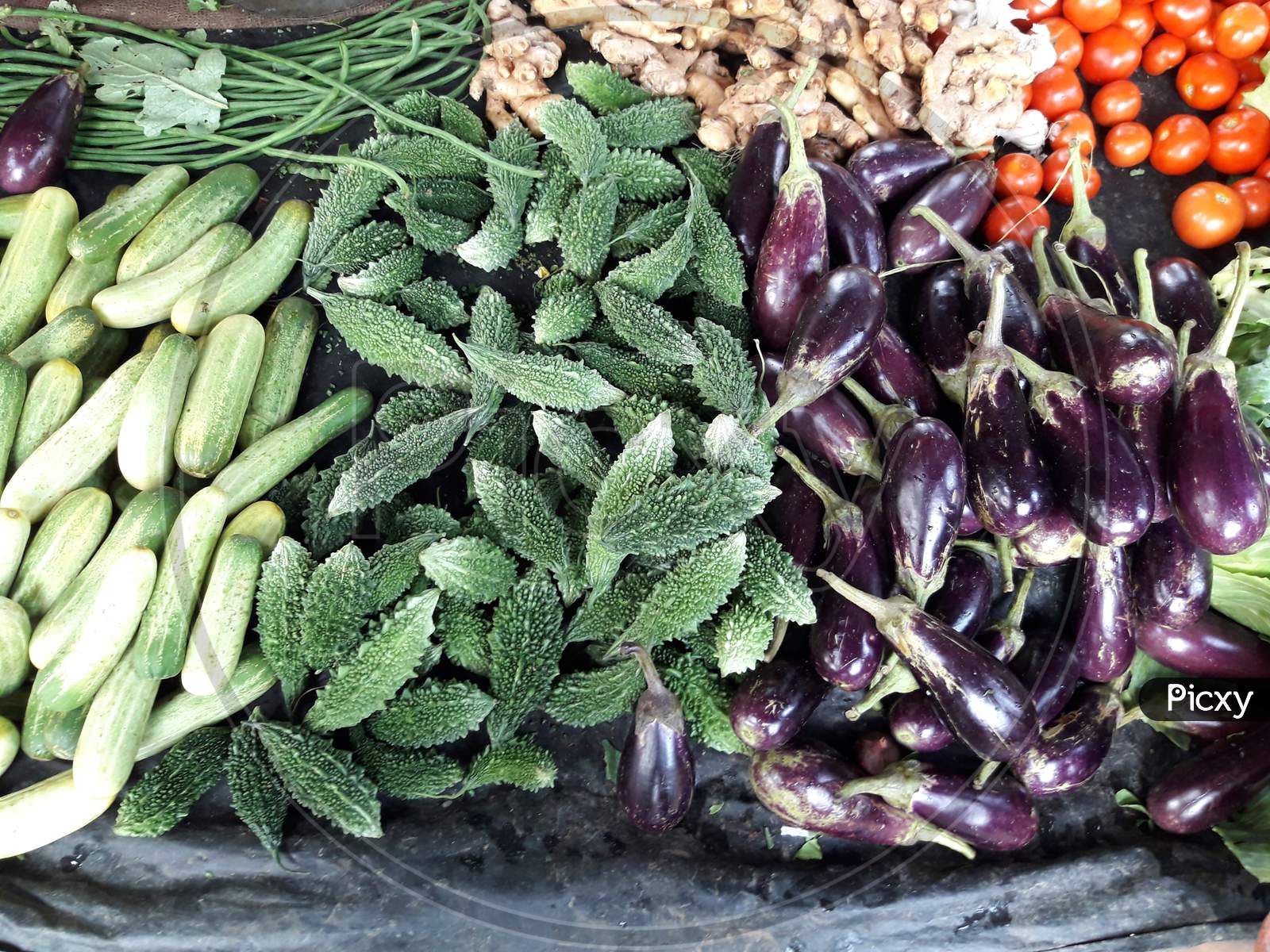 Pictures of different types of vegetables,Selective Focus, Selective Focus on Subject, Background Blur