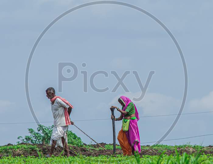 Couple doing sowing in farm
